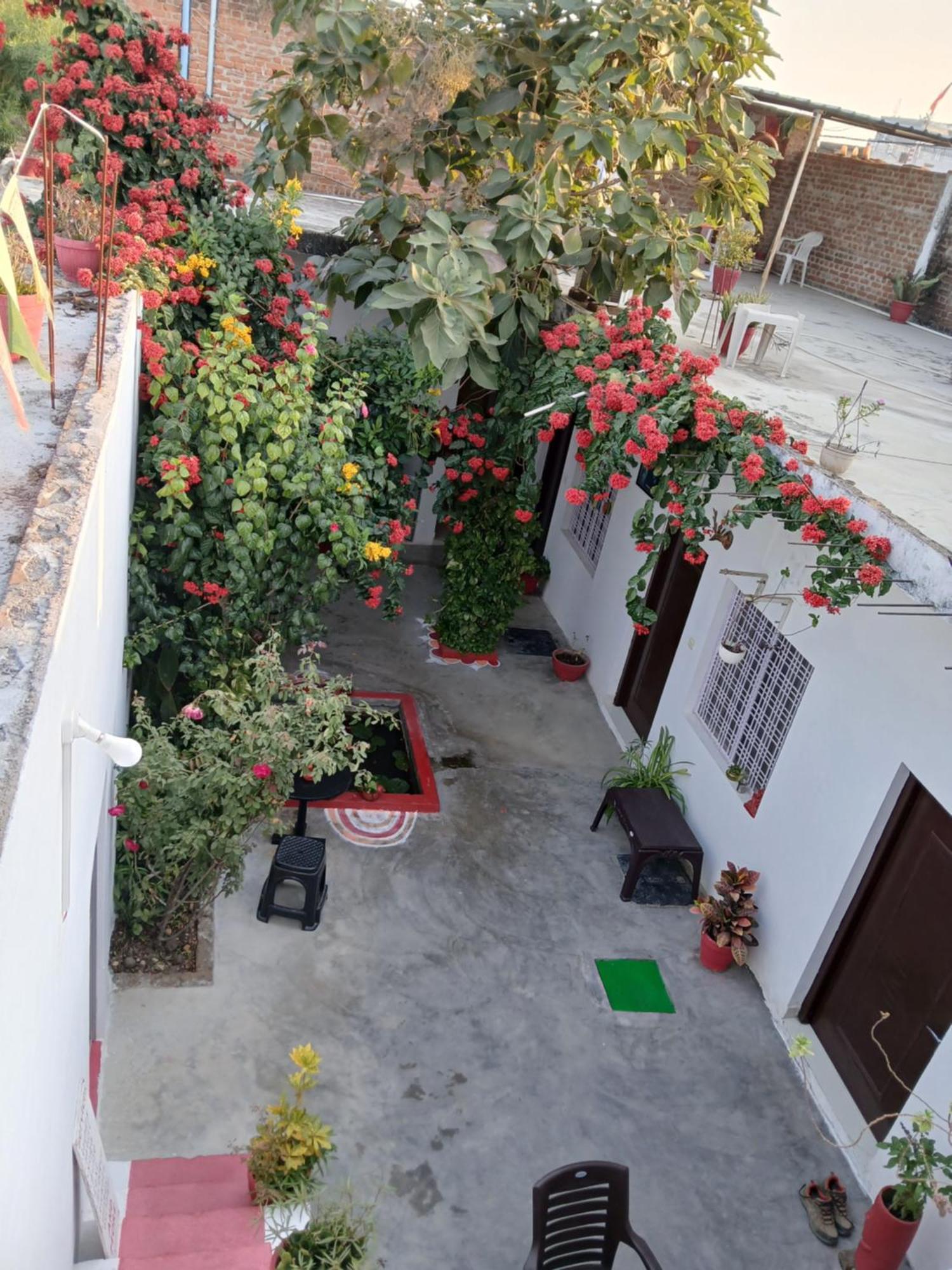 The Highvill Home Stay Khajuraho Bagian luar foto